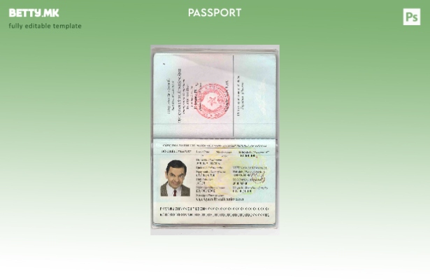 Шаблон за виетнамски пасош во модерен стил